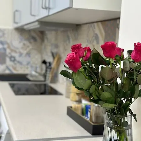 公寓 Kleparski 17 *